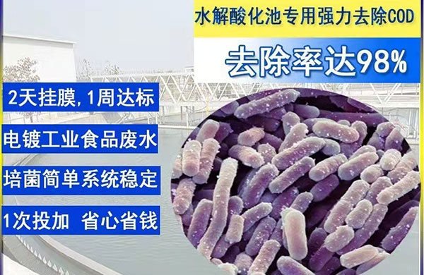 耐高盐COD降解药剂